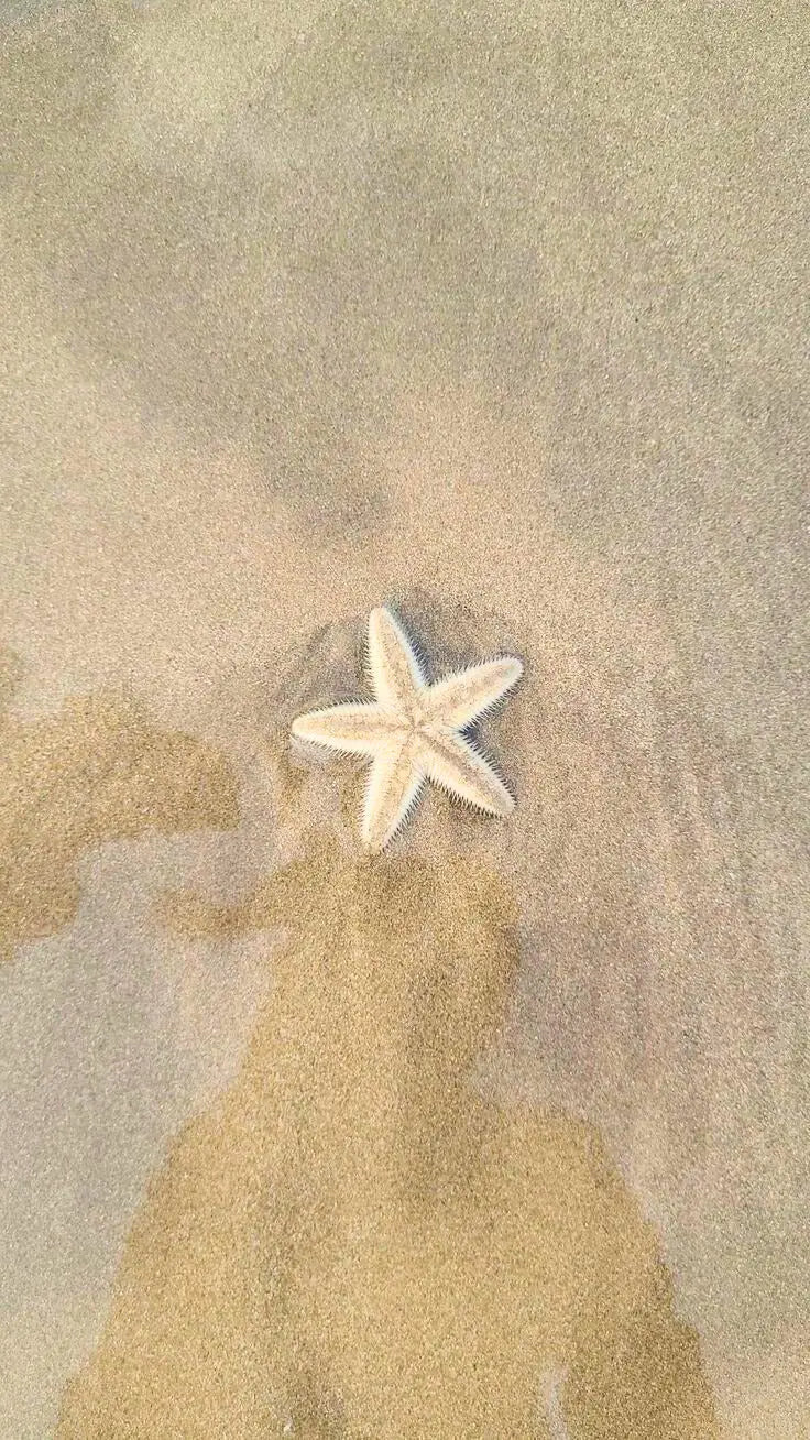 Sérénité des Îles Giulia Jewellery